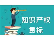 喜讯!!上海颢屹汽车技术股份有限公司顺利通过知识产权管理体系贯标认证!